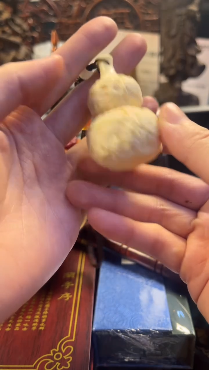 把件菩提根/象牙果沐源藏品直播链接