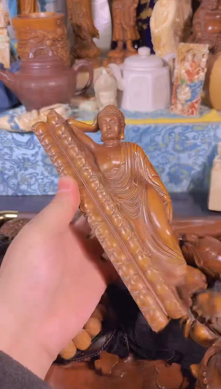 黄杨木1111111111111111