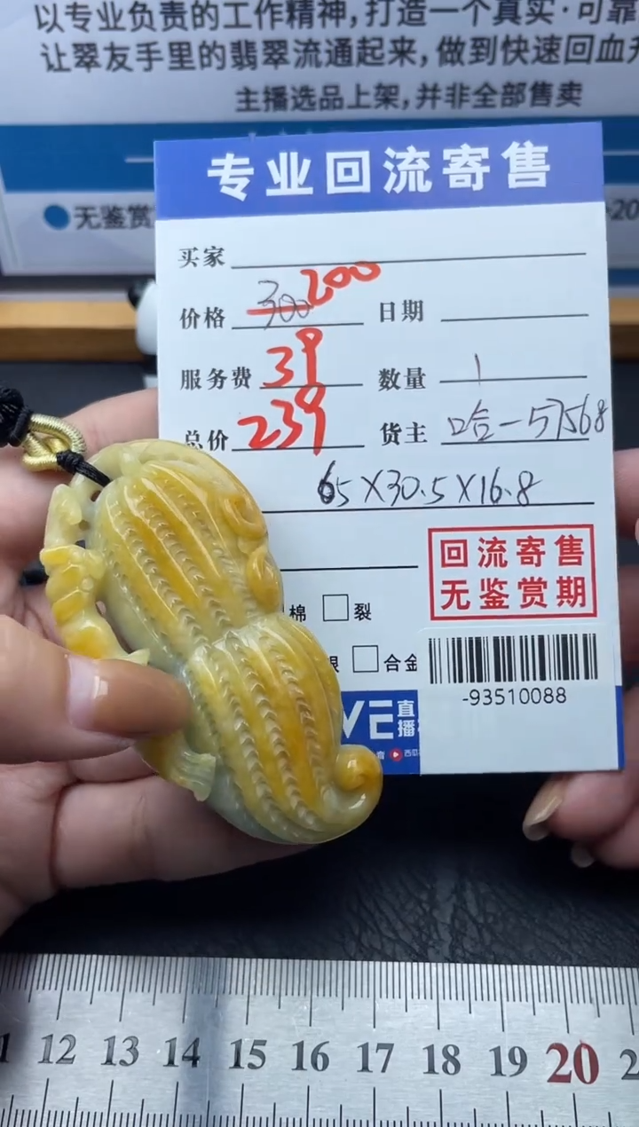 【闪购商品】翡翠颈饰未镶嵌多人-93510088