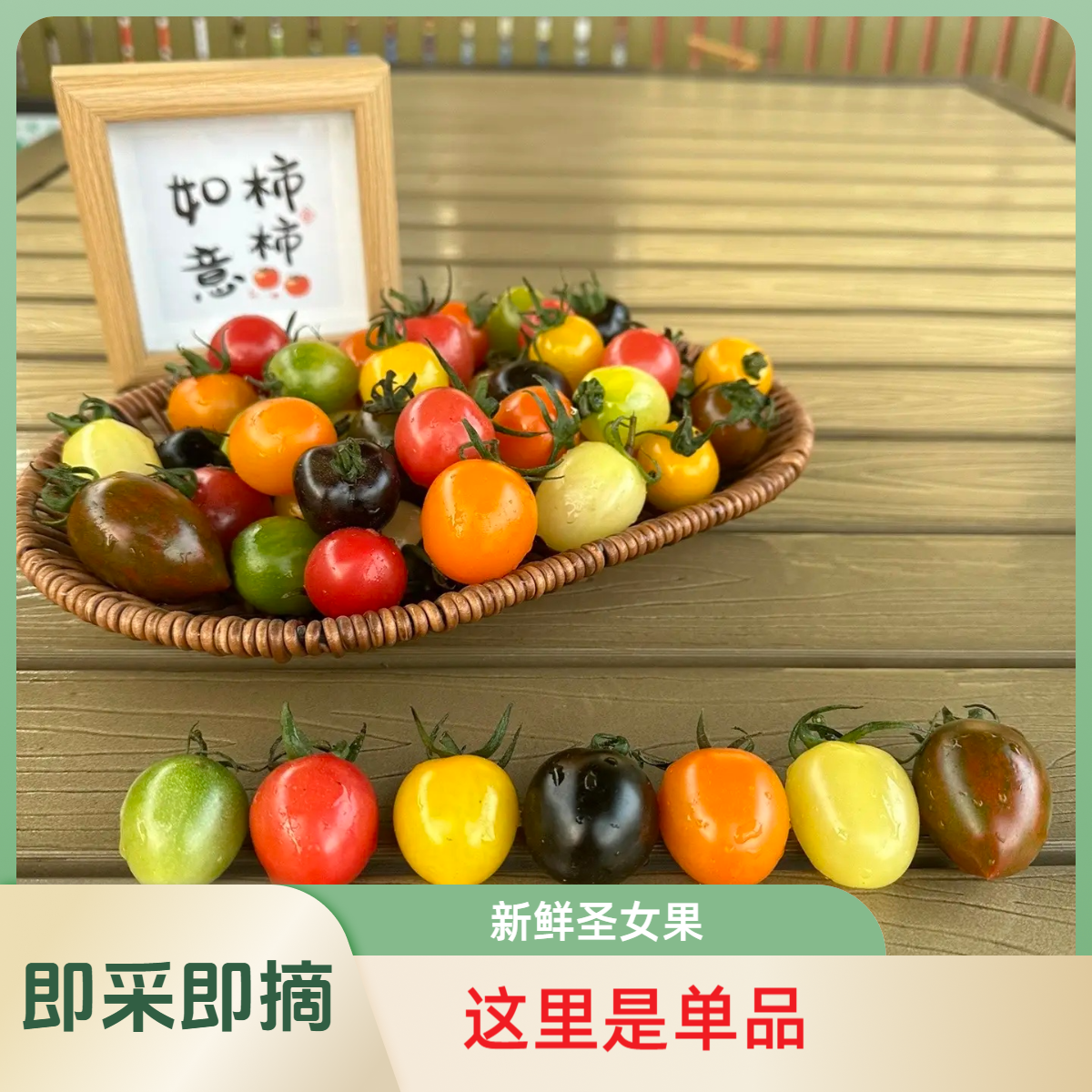 新鲜采摘小番茄千禧圣女果