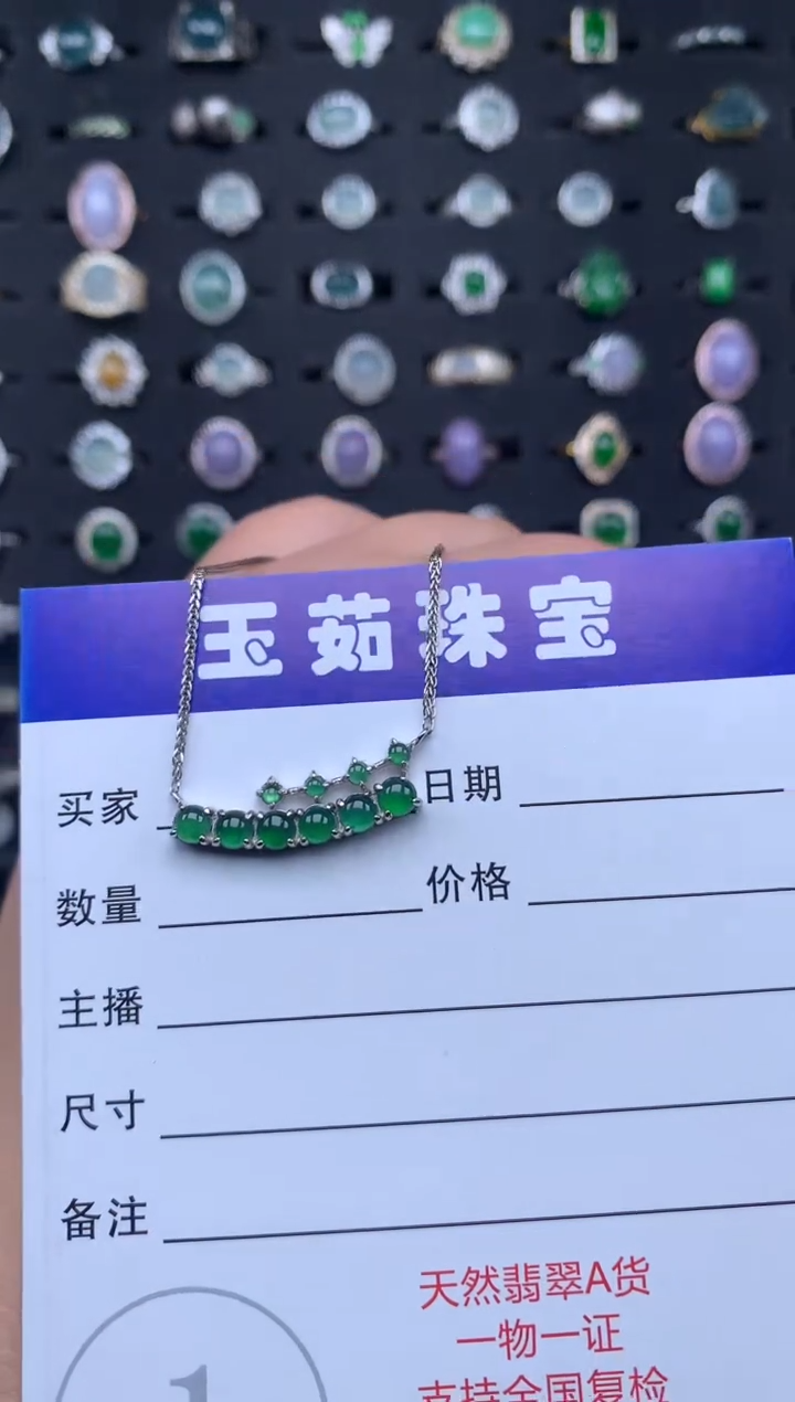 【闪购商品】翡翠颈饰银S925镶嵌345345