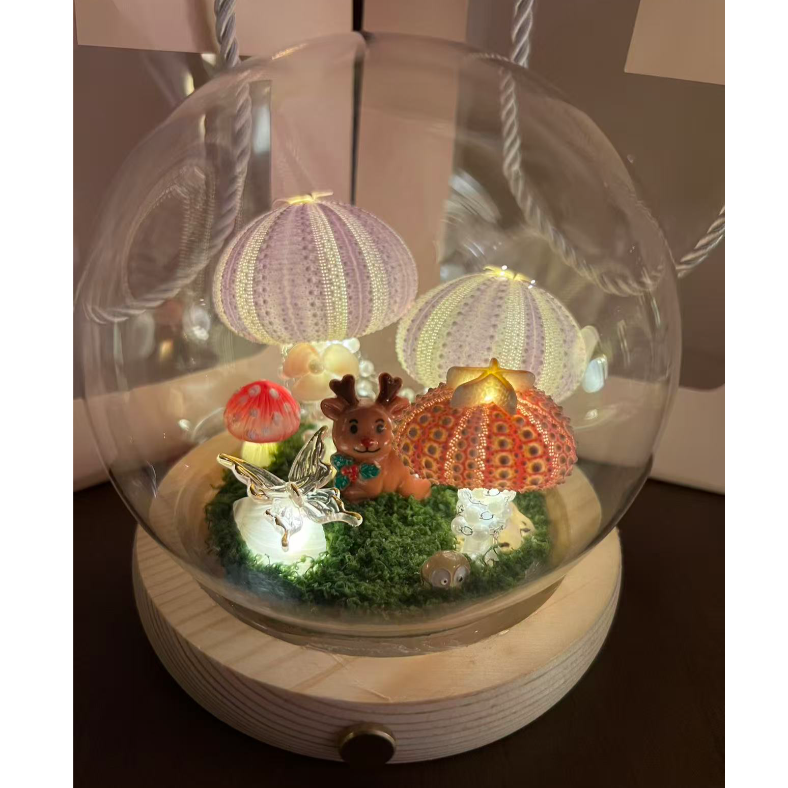 【林深见鹿】创意海胆小夜灯氛围感森系玻璃微景观生日节日伴手礼