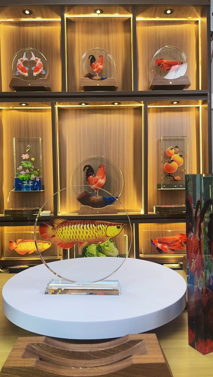 有机玻璃@*俊圆形尺寸20*1.8金龙鱼直