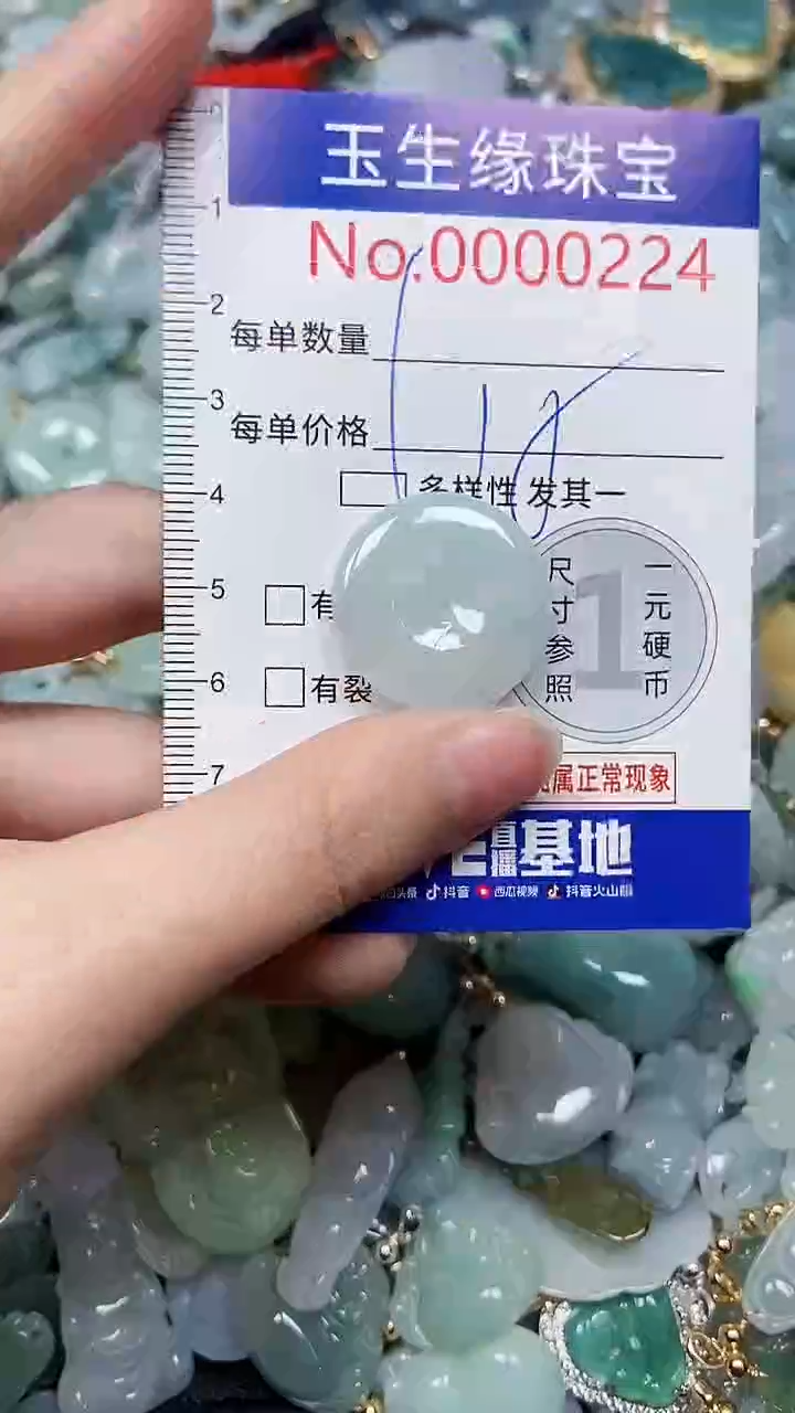 【闪购商品】翡翠颈饰未镶嵌闪购00000224