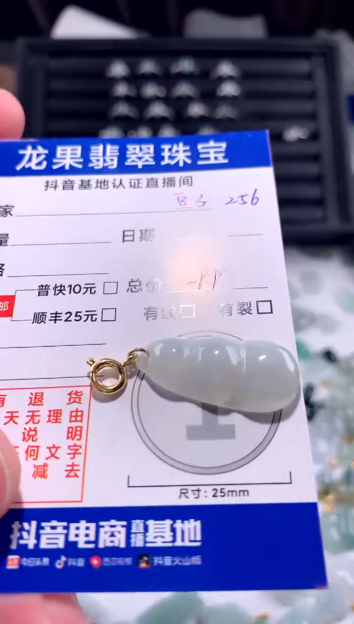 【闪购商品】翡翠颈饰未镶嵌豆子256