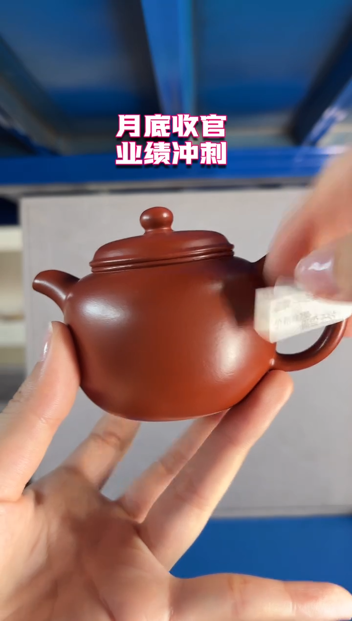 茶壶紫砂8.31早场直播