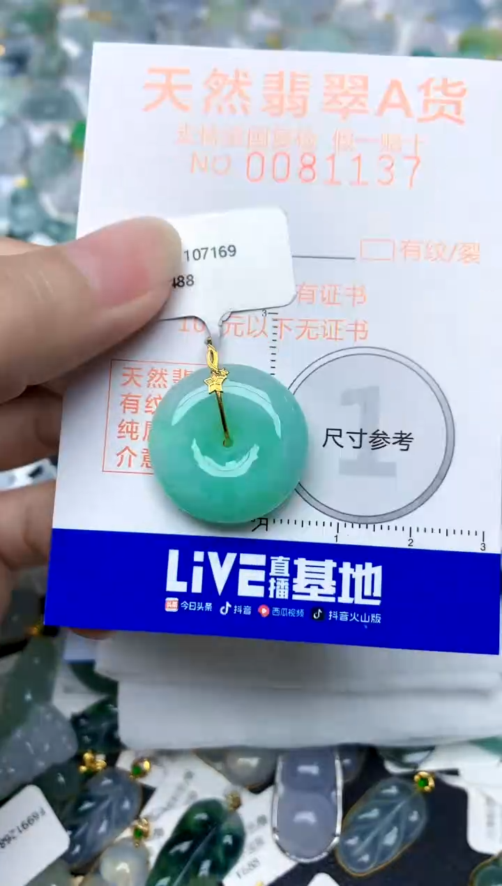 颈饰18K金镶嵌翡翠天然A货翡翠