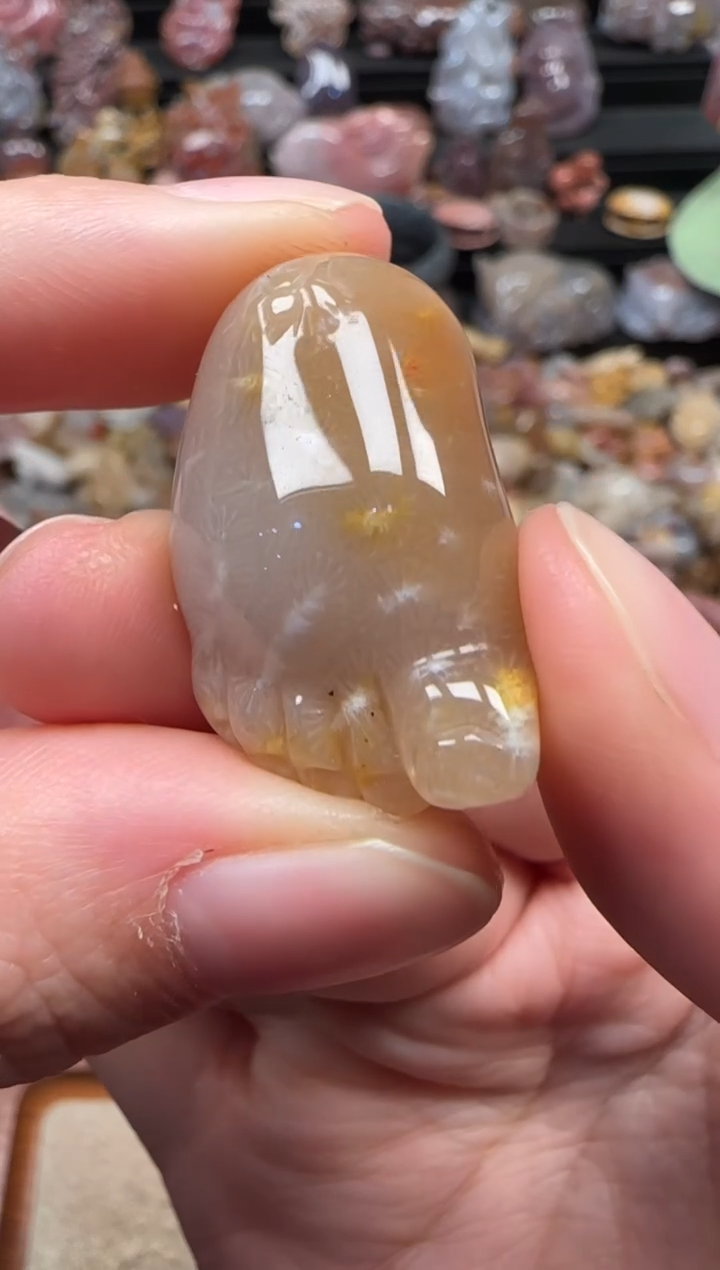 颈饰未镶嵌硅化珊瑚（珊瑚玉）214