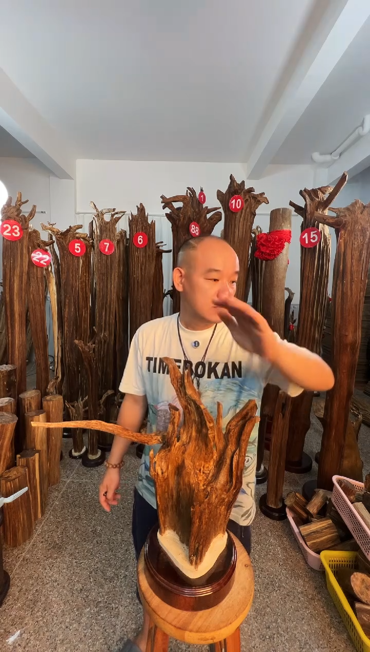 摆件沉香沉香原料6