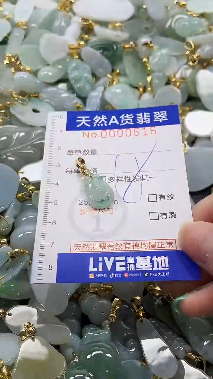 颈饰未镶嵌翡翠纯天然a货翡翠