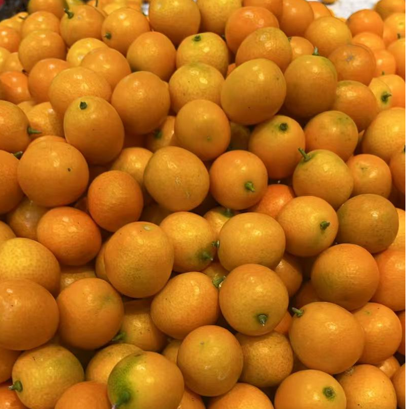 特价金桔 1斤左右 （水果）广西壮族自治区