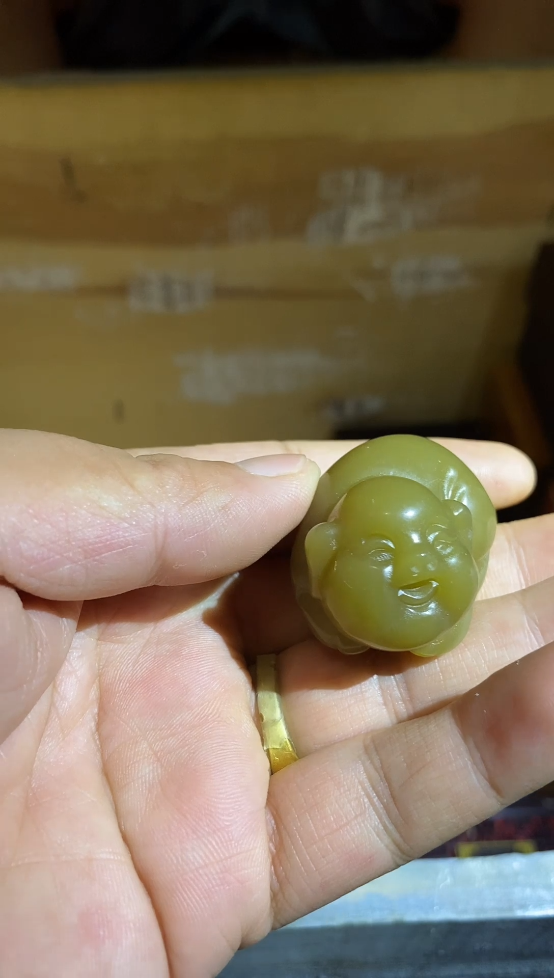 【直播闪购】褐色 发财猪