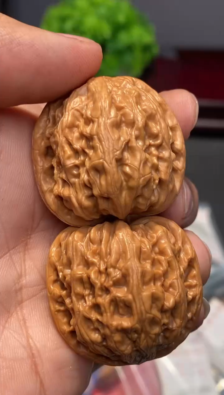把件文玩核桃平谷九龙文玩核桃⬛️36-37