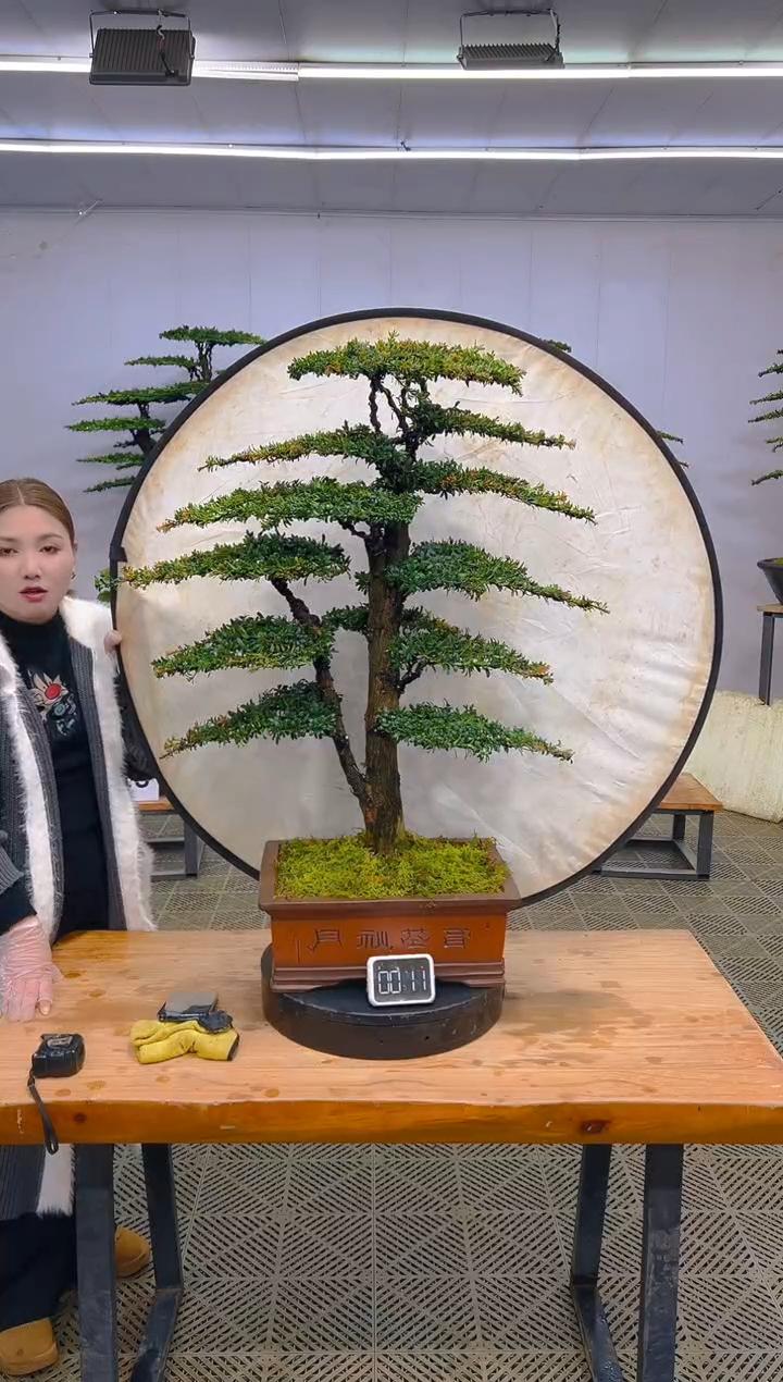无花朵一物一拍一物一拍