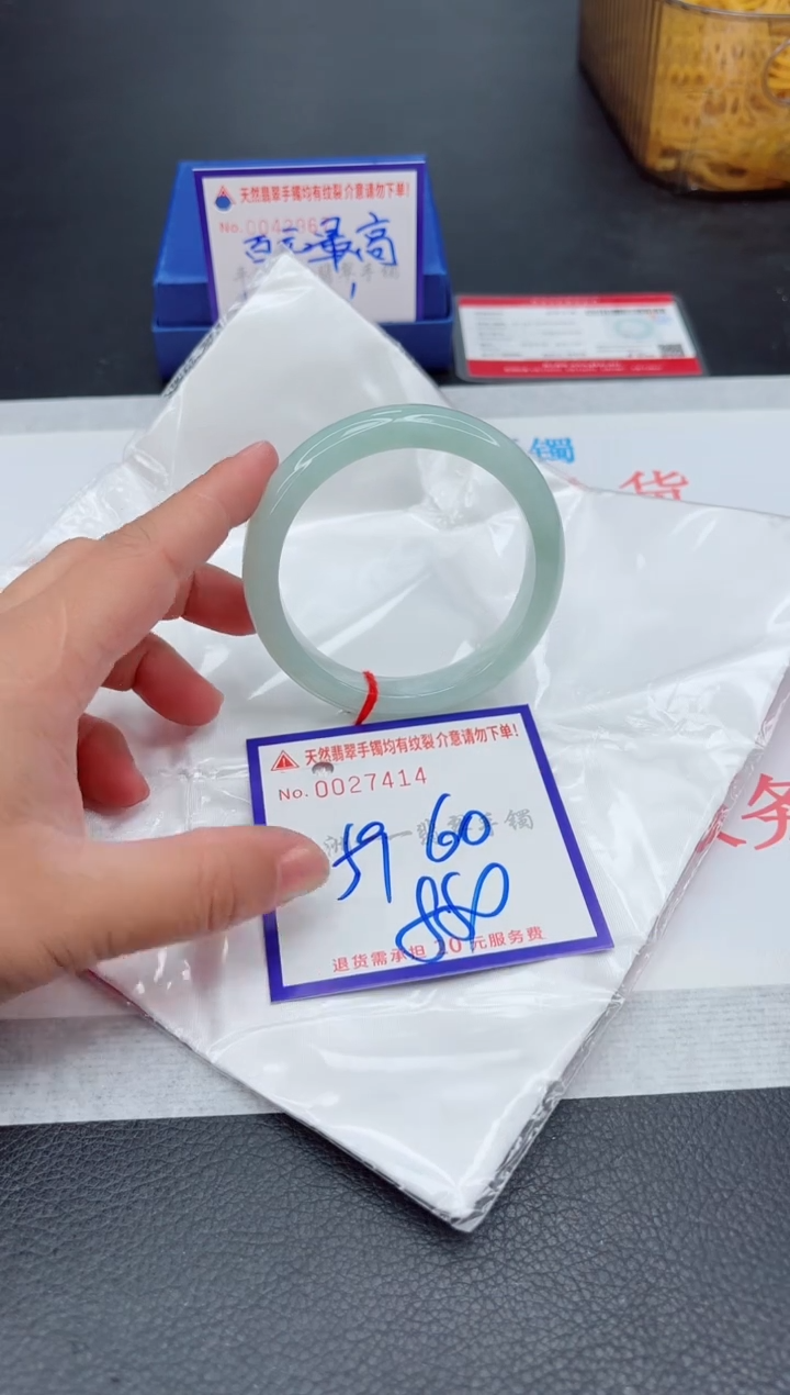 未镶嵌手镯翡翠1