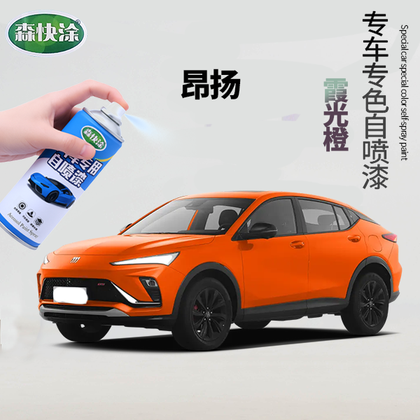 【昂扬】别克汽车漆调色自喷漆汽车刮痕修复补漆车漆修复神器