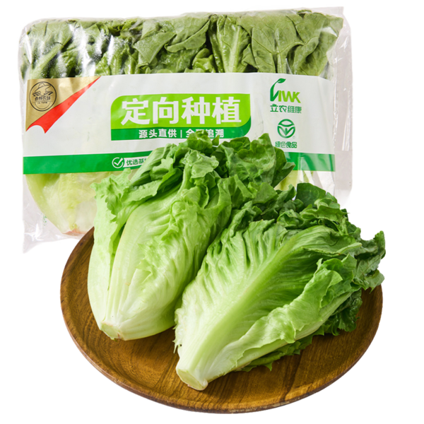【GAP认证】永辉农场高原意大利生菜 250g