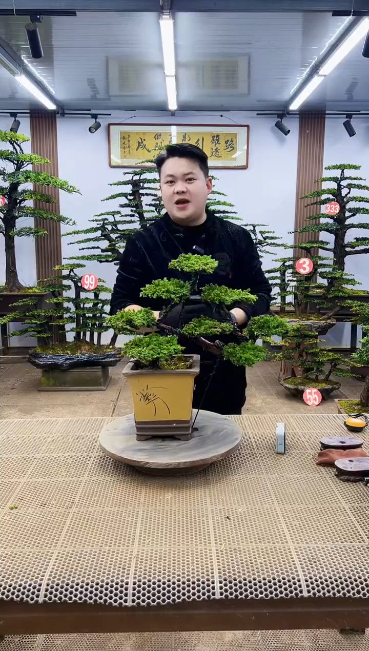 【闪购商品】0000000