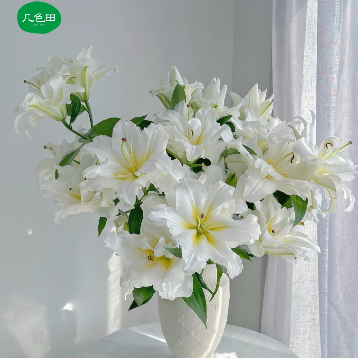 三头暴风雪（5枝装）----重瓣百合云南直发鲜花云南花插花鲜花 