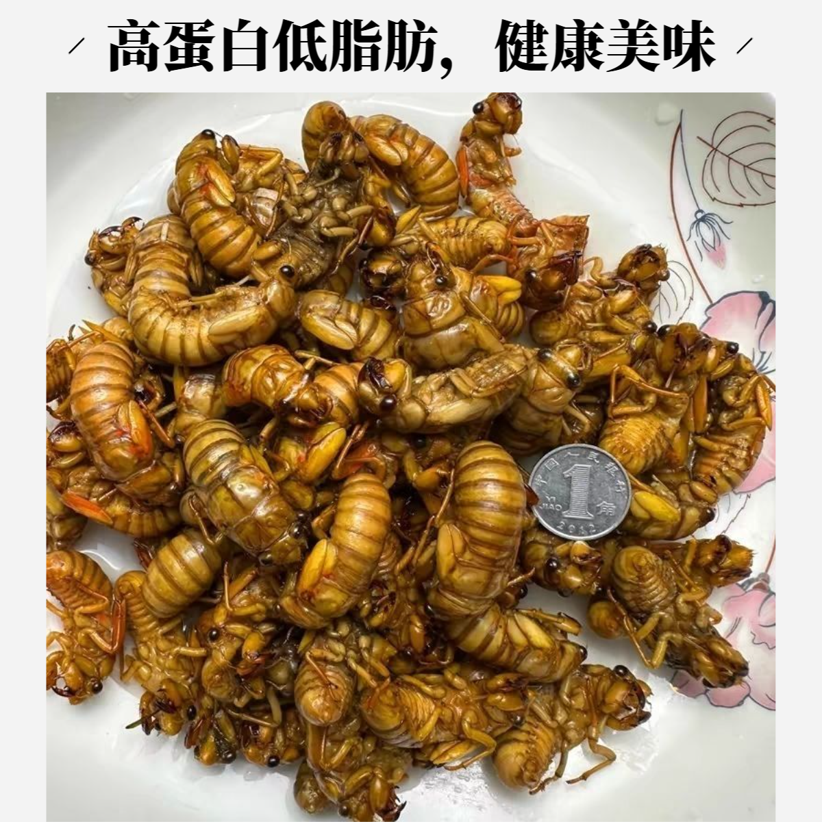 【优质生鲜】新鲜杜仲金禅  爬叉知了1猴   顺丰发货