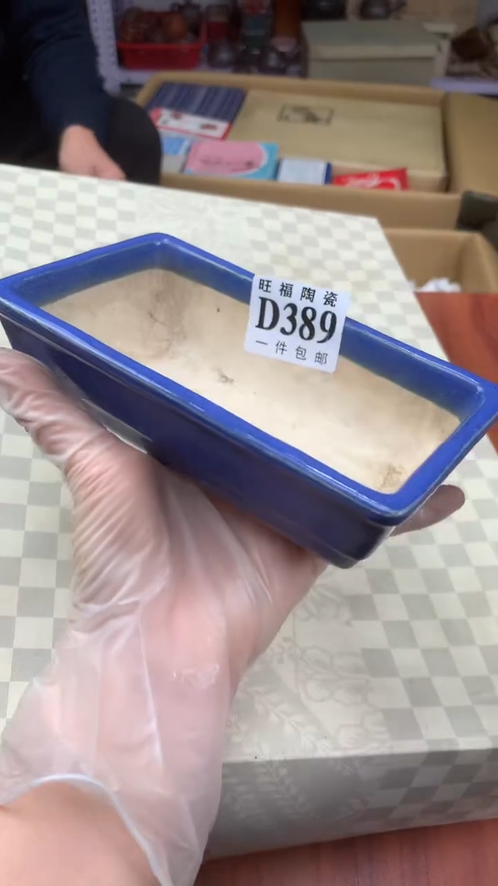 瓷片叶*央校长家杂项籈选3