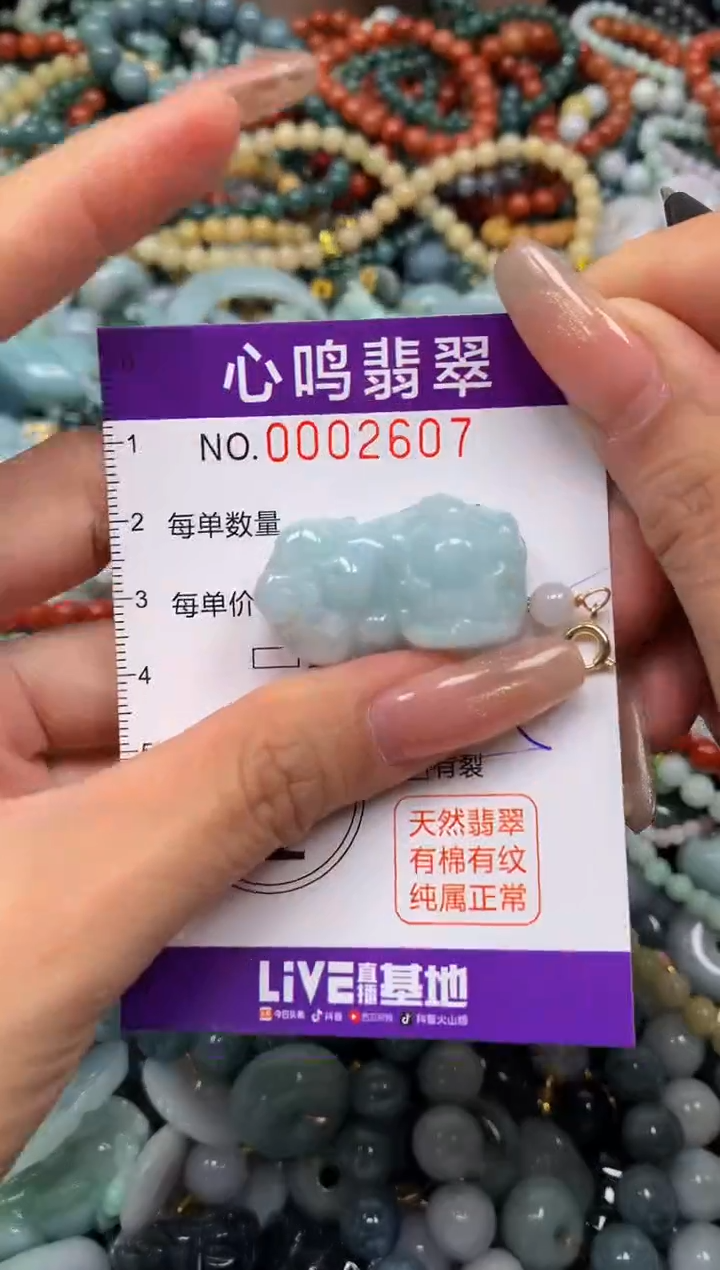 颈饰未镶嵌翡翠闪购002607