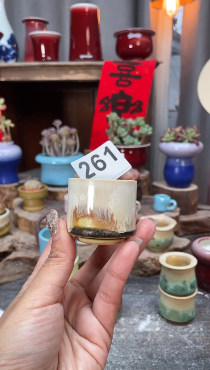 【闪购商品】摆件261知木小芳花盆