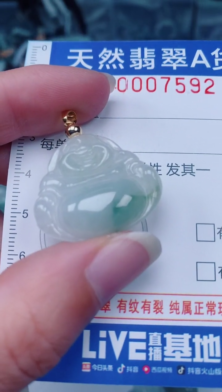 颈饰未镶嵌翡翠00007592