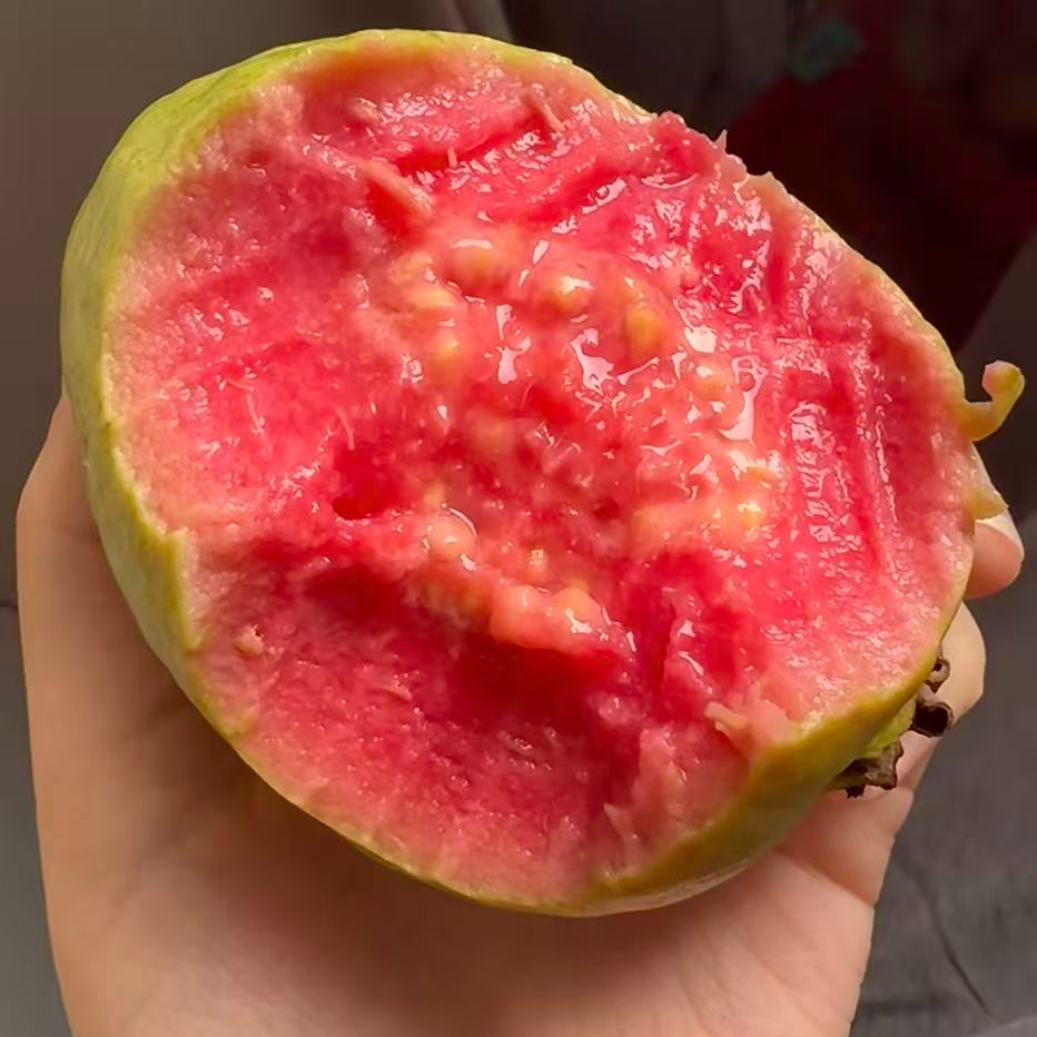 树熟草莓芭乐奶油芭乐