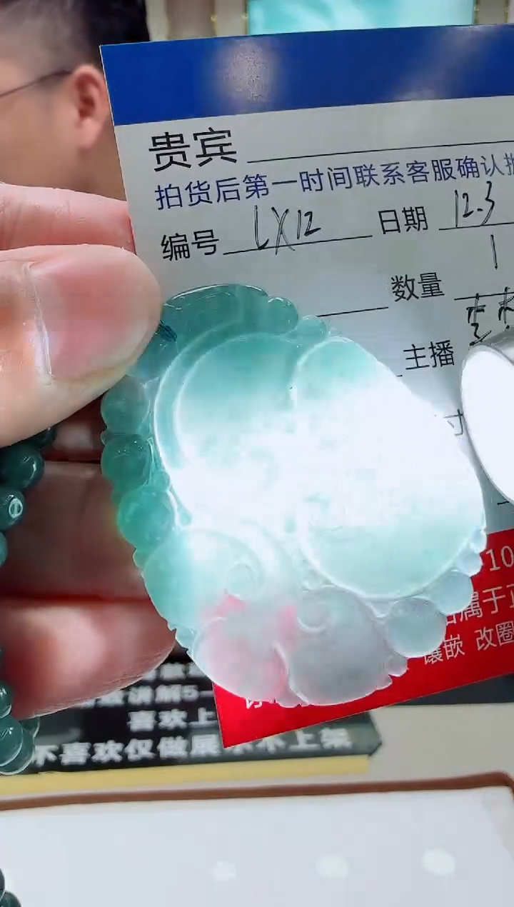 未镶嵌定制翡翠LX12翡翠吊坠赠珠链-多样性发其一