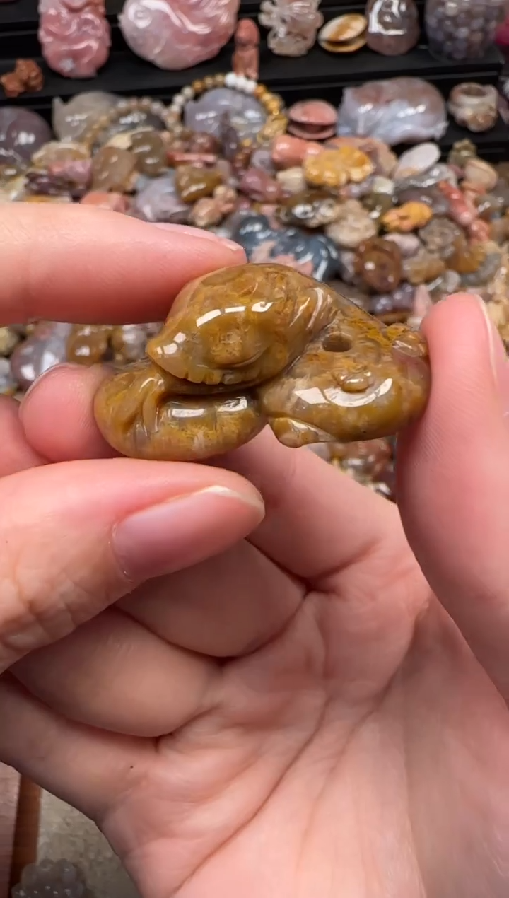 颈饰未镶嵌硅化珊瑚（珊瑚玉）389