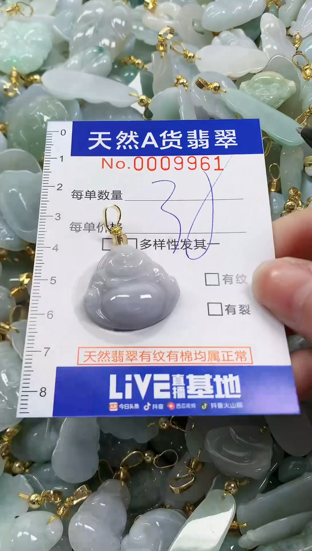 颈饰未镶嵌翡翠纯天然a货翡翠