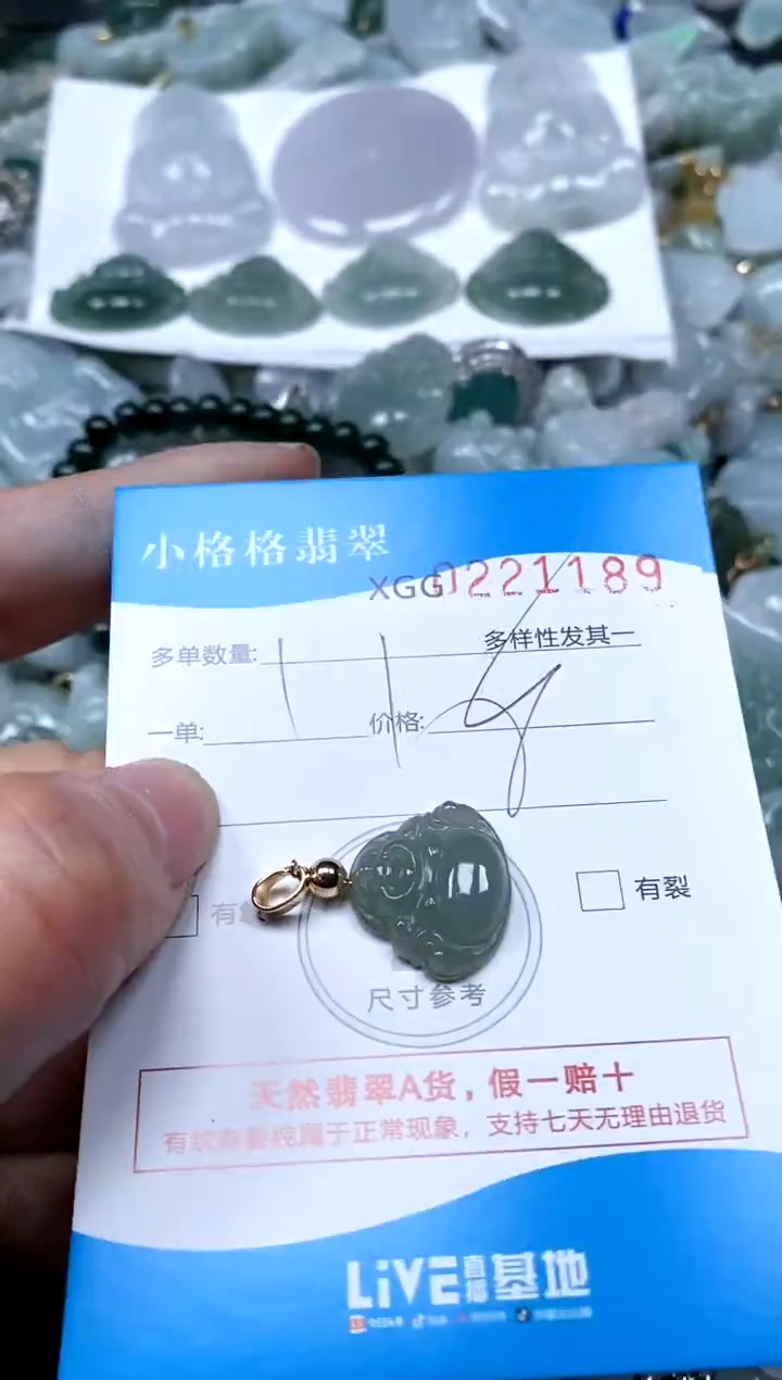 【闪购商品】翡翠颈饰未镶嵌闪购商品0221189