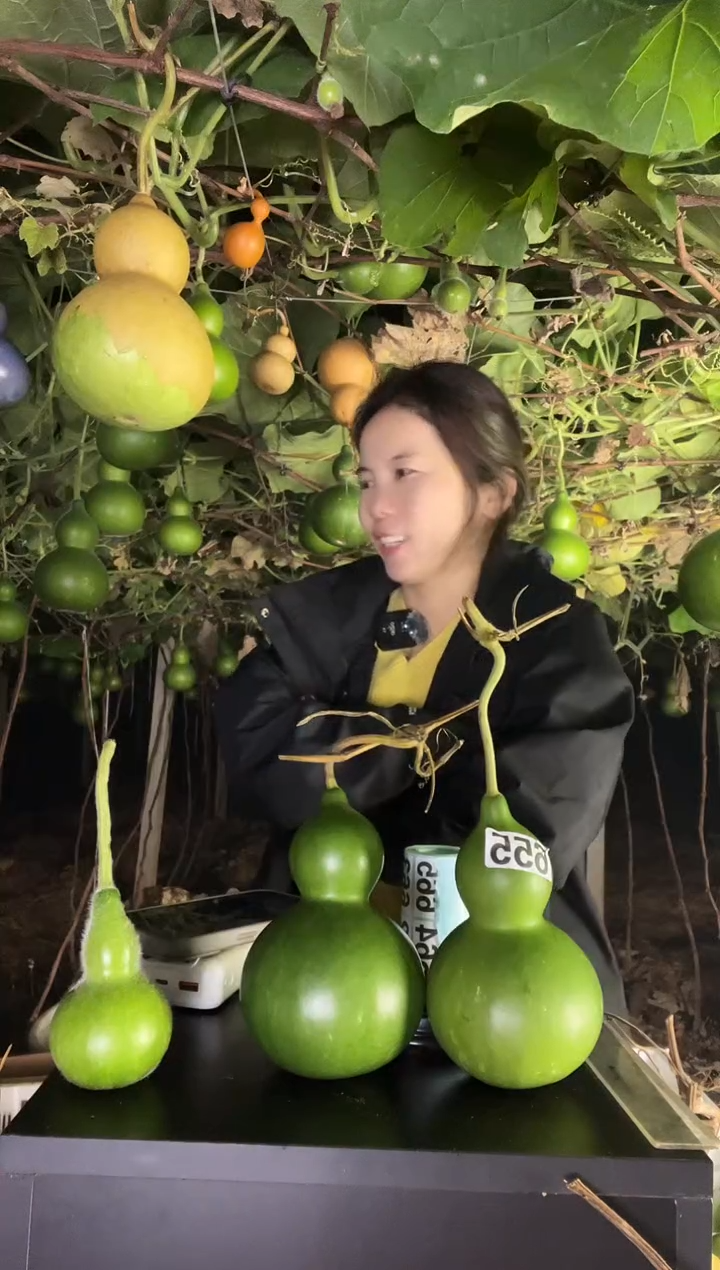 2****星655天然葫芦摆件 一物一拍龙头不保售后