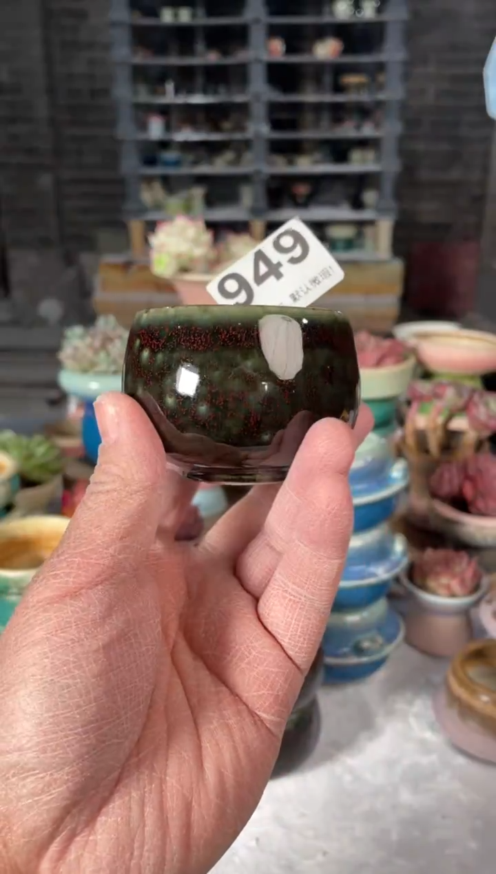 瓷片949小芳直播编号