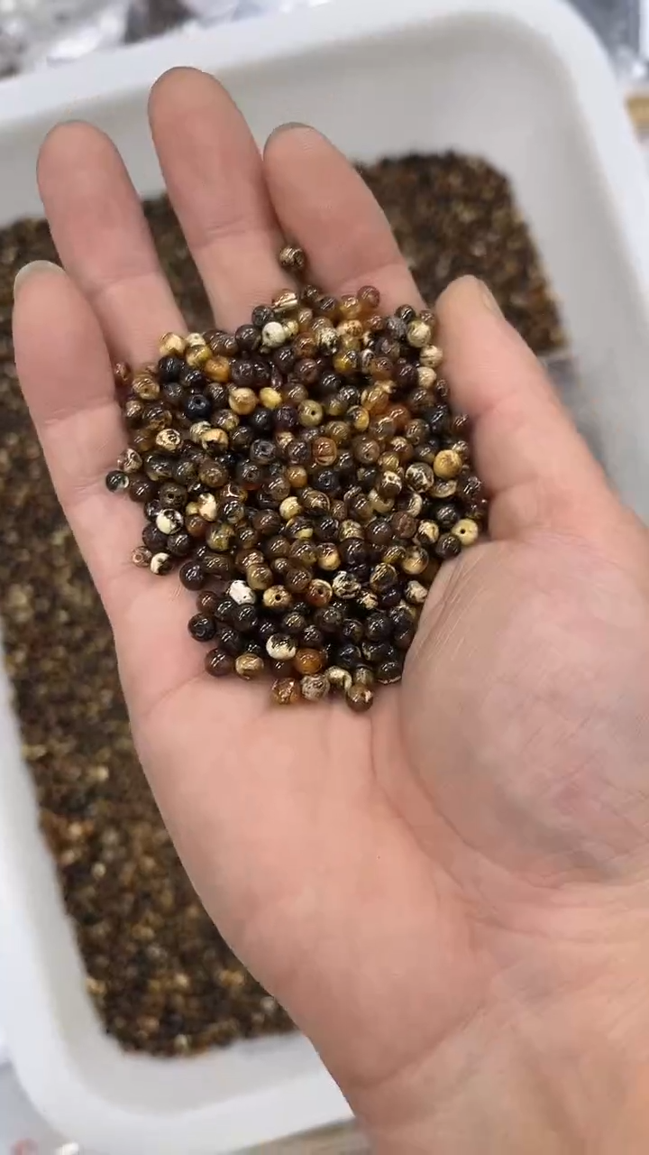 裸石琥珀未镶嵌抚顺琥珀散珠10克左右一份多样性发其一