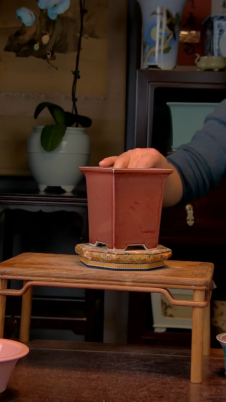 【闪购商品】红陶1