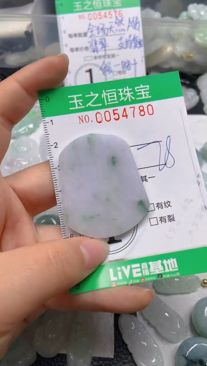 【闪购商品】翡翠未镶嵌颈饰闪购0054780