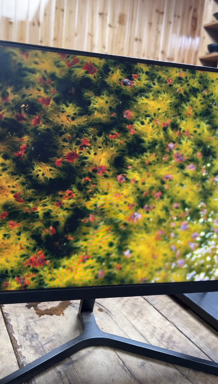 【闪购商品】茶盏9@建窑建盏刘友良