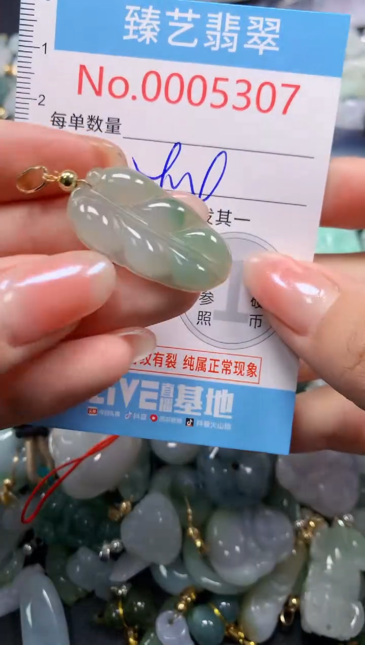 颈饰未镶嵌翡翠5307