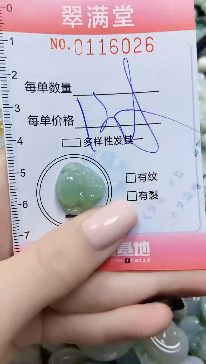 【闪购商品】翡翠颈饰未镶嵌闪购0116026