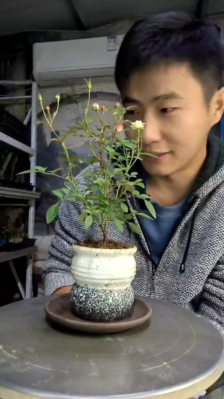 .***.中青园艺一物一拍292