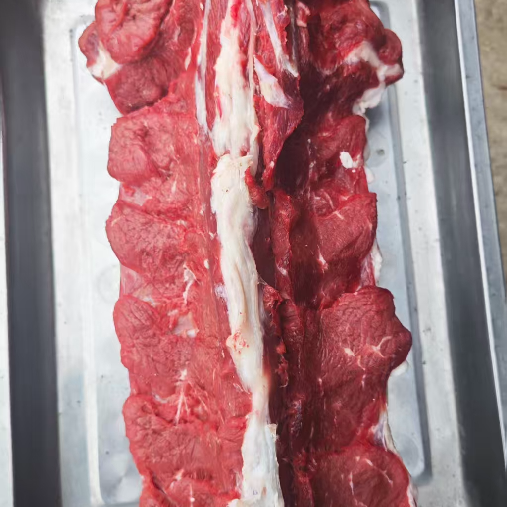 【多肉羊蝎子】莱芜当地山羊