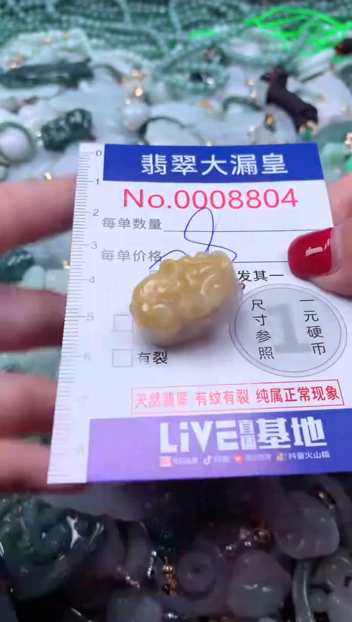 颈饰未镶嵌翡翠8804