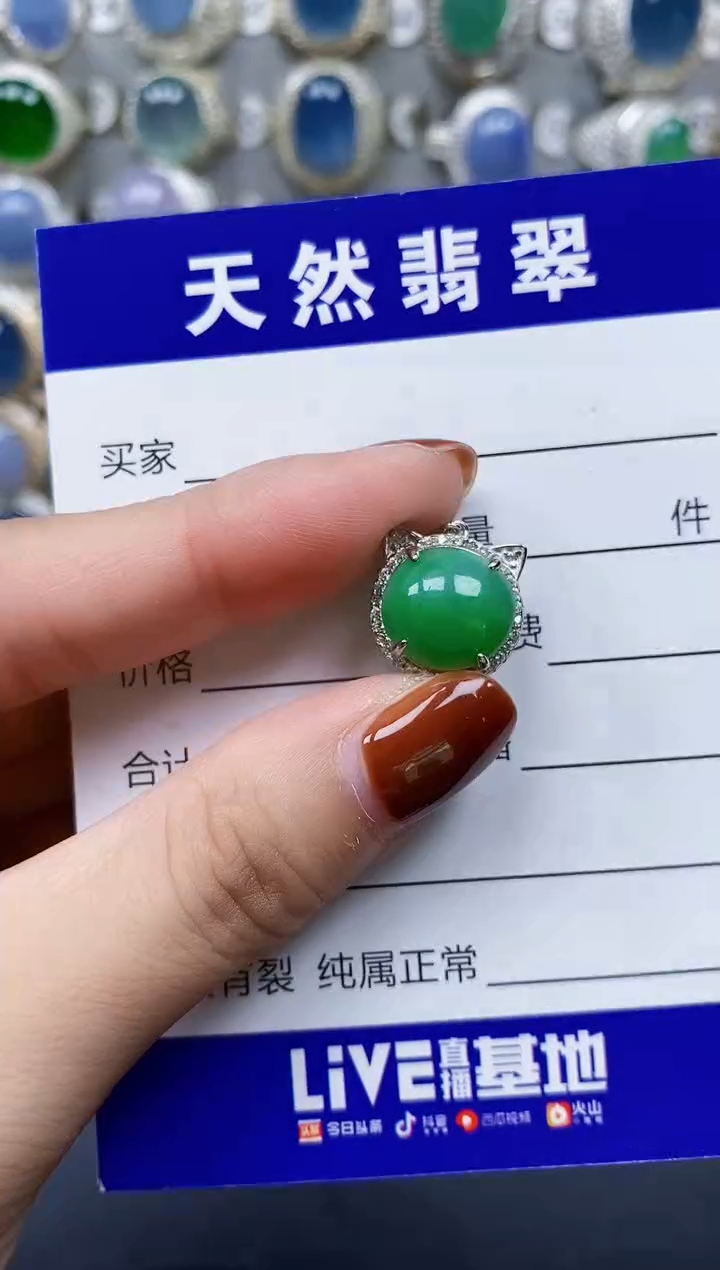 翡翠银S925镶嵌颈饰816