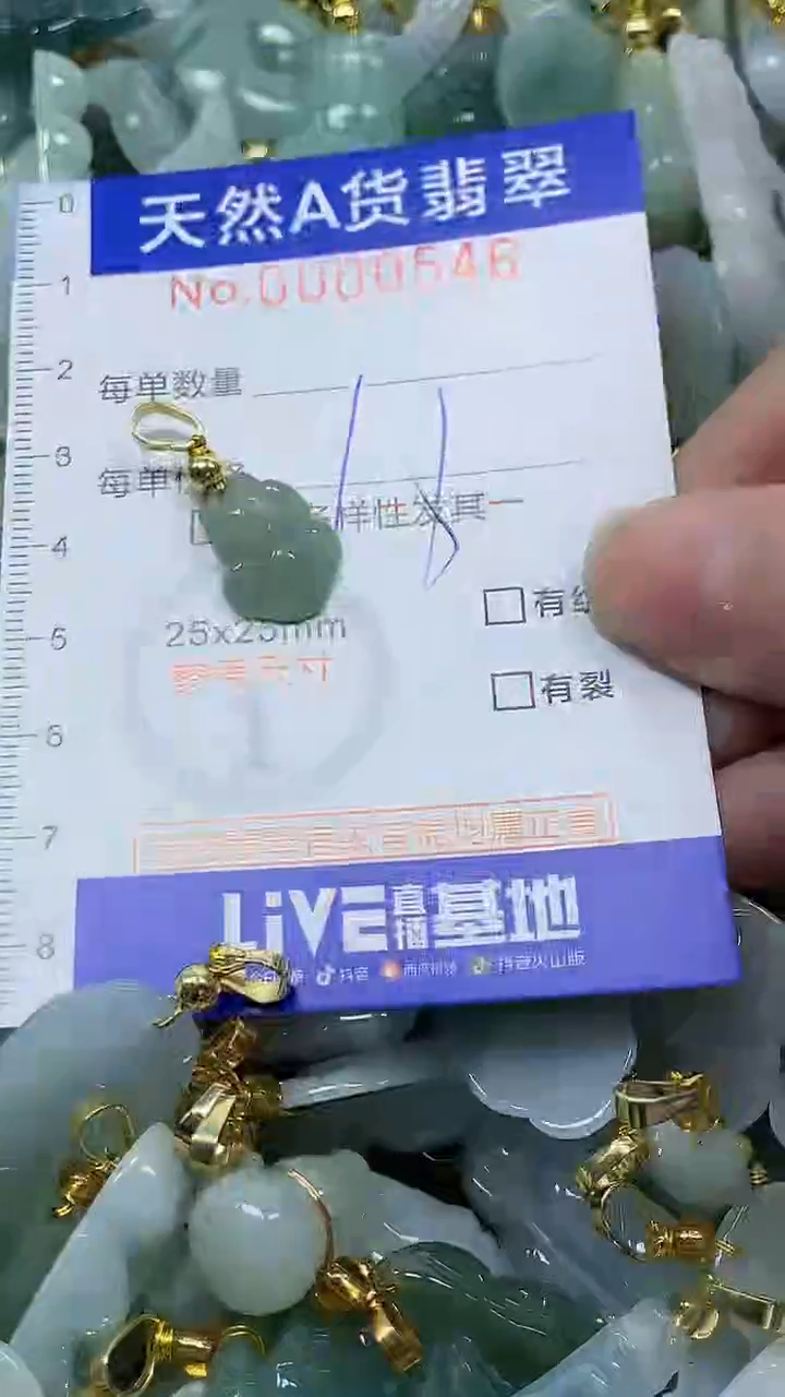 颈饰未镶嵌翡翠纯天然a货翡翠