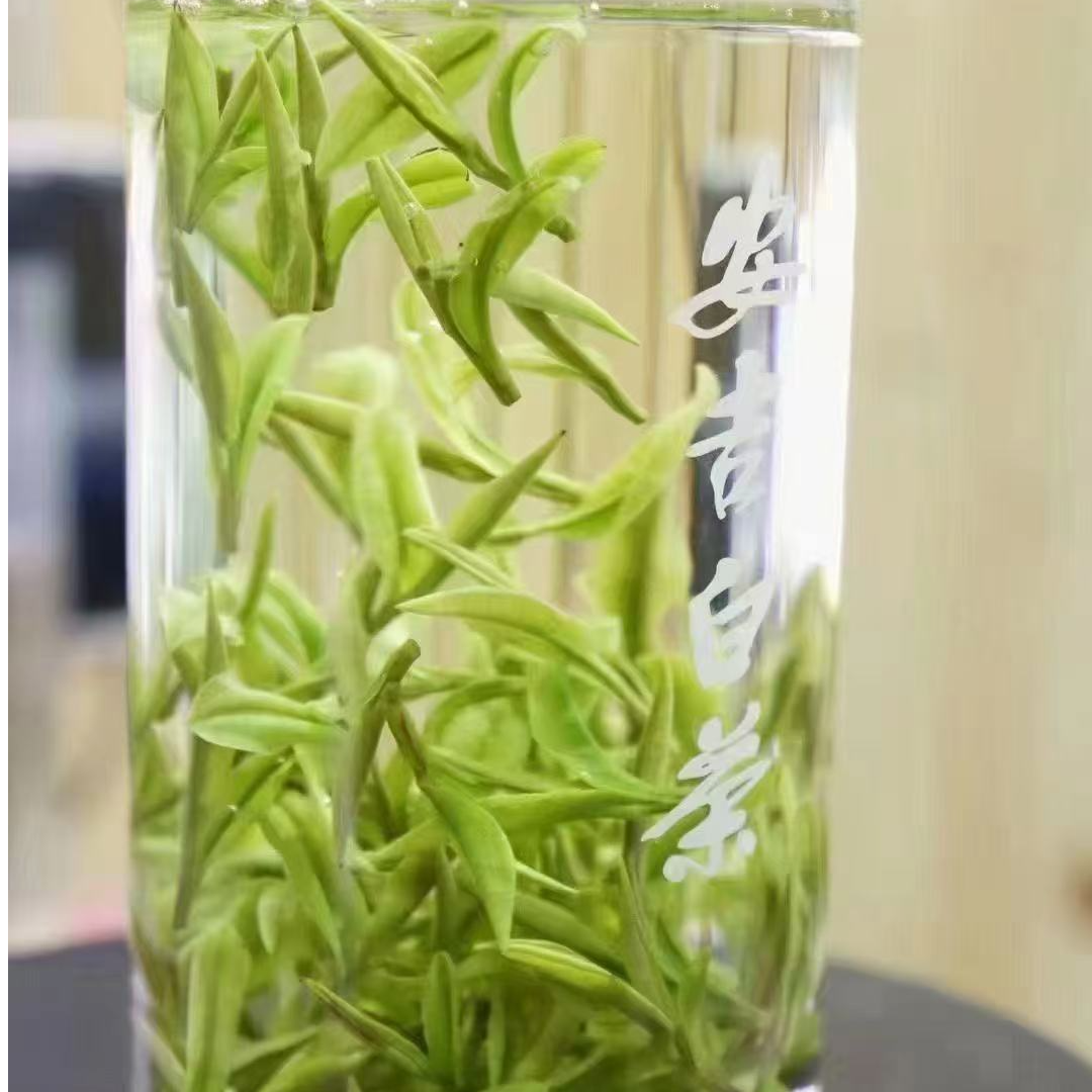 25年新茶（玉兰小芽）兰花香正宗安吉原产地白茶送人送礼一芽一叶