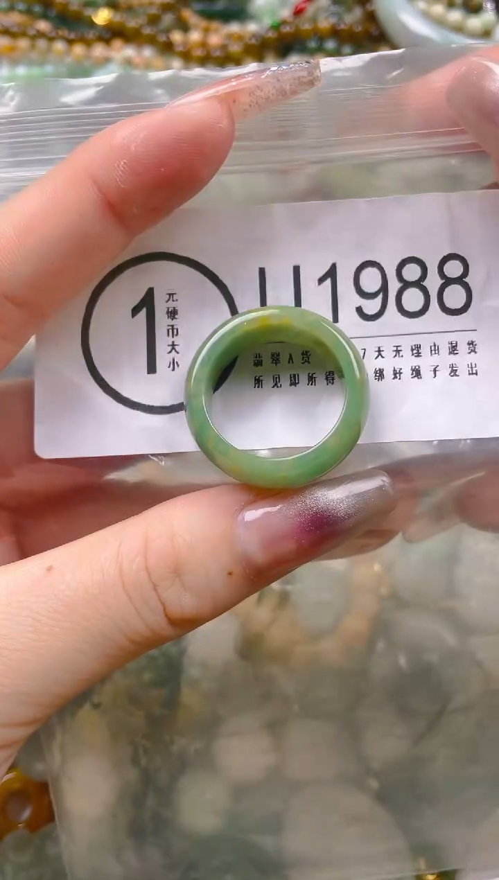 【闪购商品】翡翠颈饰未镶嵌21/U/翡翠A货一图一物