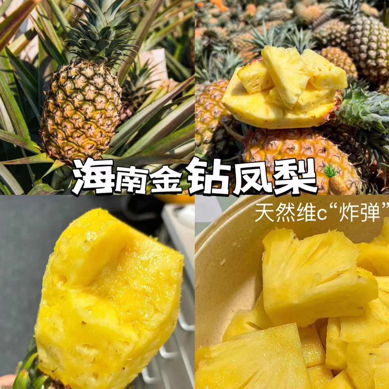 海南金砖凤梨小果2个斤