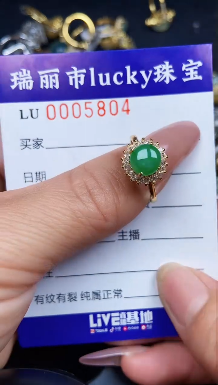 翡翠银S925镶嵌颈饰5804